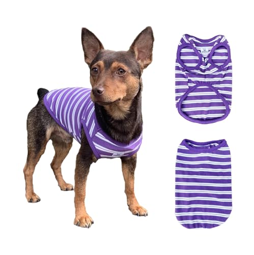 YQYS Welpenshirt für kleine Hunde 0,5-6,8 kg, weiche Baumwoll-Hundekleidung mit Stretch-Stoff, Streifenmuster-Hemden für Chihuahua, Yorkie, Malteser, maschinenwaschbar, für den täglichen Gebrauch YQYS Welpenshirt für kleine Hunde 0,5-6,8 kg, weiche Baumwoll-Hundekleidung mit Stretch-Stoff, Streifenmuster-Hemden für Chihuahua, Yorkie, Malteser, maschinenwaschbar, für den täglichen Gebrauch von YQYS