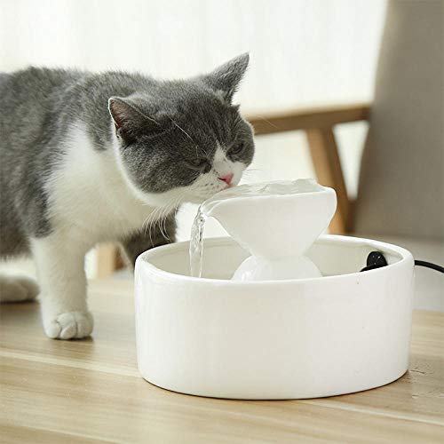 YQZS Katze Wasserspender automatische Zirkulation Filterung Flussbrunnen Haustier liefert Wasserspender Katze Trinkwasser-Weiß von YQZS