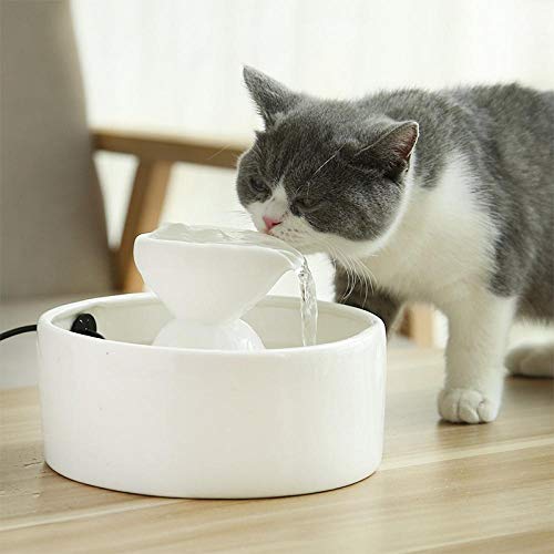 YQZS Katze Wasserspender automatische Zirkulation Filterung Flussbrunnen Haustier liefert Wasserspender Katze Trinkwasser-Weiß von YQZS