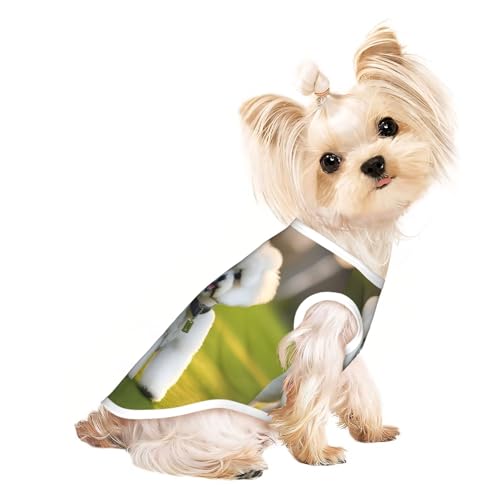 Bichon Frisé-Hunde-Shirt, leicht, Sommer, kühl, atmungsaktiv, ärmellos, dehnbare Kleidung Bichon Frisé-Hunde-Shirt, leicht, Sommer, kühl, atmungsaktiv, ärmellos, dehnbare Kleidung von YQxwJL