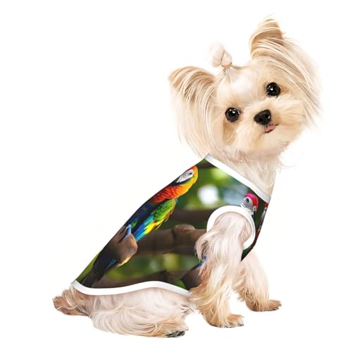 Buntes Papageien auf Baum, leichtes Hunde-Shirt, Sommer, kühl, atmungsaktiv, ärmellos, dehnbare Kleidung Buntes Papageien auf Baum, leichtes Hunde-Shirt, Sommer, kühl, atmungsaktiv, ärmellos, dehnbare Kleidung von YQxwJL