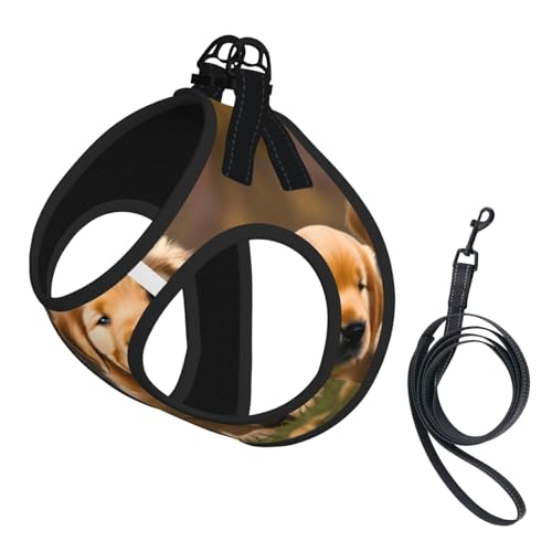 Golden Retriever Hundegeschirr und Leine, weiches Netzgewebe, bequem, gepolstert, kein Ziehen Golden Retriever Hundegeschirr und Leine, weiches Netzgewebe, bequem, gepolstert, kein Ziehen von YQxwJL