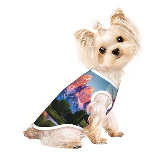 Grand Teton Hundeshirt mit Nationalpark-Aufdruck, leicht, Sommer, kühl, atmungsaktiv, ärmellos, dehnbare Kleidung von YQxwJL