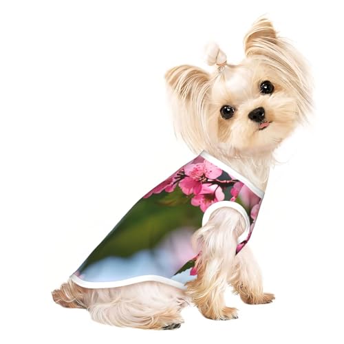 Hunde-Shirt, Motiv: rosa Kirschblüten, leicht, Sommer, kühl, atmungsaktiv, ärmellos, dehnbare Kleidung Hunde-Shirt, Motiv: rosa Kirschblüten, leicht, Sommer, kühl, atmungsaktiv, ärmellos, dehnbare Kleidung von YQxwJL
