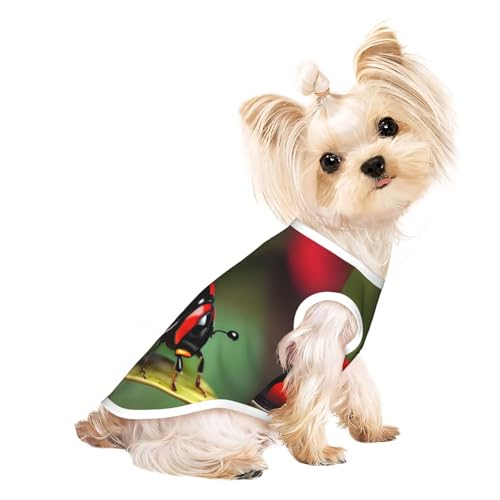 Hunde-T-Shirt, Motiv: Marienkäfer, Dasisy-Druck, leicht, Sommer, kühl, atmungsaktiv, ärmellos, dehnbare Kleidung von YQxwJL