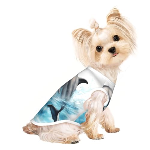 Hunde-T-Shirt, Motiv: Ozean-Delphin, mit Aufdruck "Looking at You", leicht, Sommer, kühl, atmungsaktiv, ärmellos, dehnbare Kleidung Hunde-T-Shirt, Motiv: Ozean-Delphin, mit Aufdruck "Looking at You", leicht, Sommer, kühl, atmungsaktiv, ärmellos, dehnbare Kleidung von YQxwJL