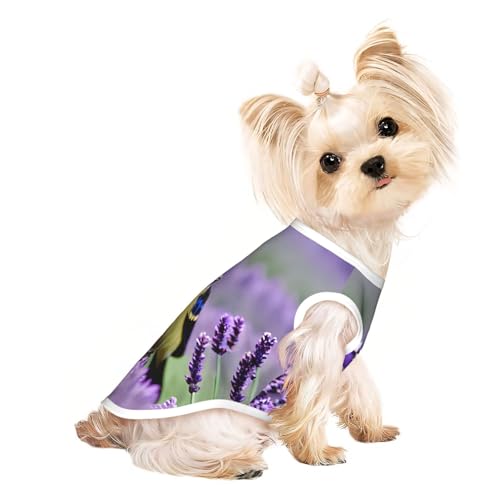 Hunde-T-Shirt, Motiv: Vogel in violettem Lavendel, Blumenmuster, leicht, Sommer, kühl, atmungsaktiv, ärmellos, dehnbare Kleidung Hunde-T-Shirt, Motiv: Vogel in violettem Lavendel, Blumenmuster, leicht, Sommer, kühl, atmungsaktiv, ärmellos, dehnbare Kleidung von YQxwJL