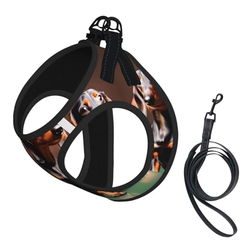 Hundegeschirr und Leine, Dackel-Motiv, weiches Netzgewebe, bequem, gepolstert, kein Ziehen Hundegeschirr und Leine, Dackel-Motiv, weiches Netzgewebe, bequem, gepolstert, kein Ziehen von YQxwJL