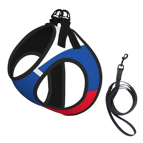 Hundegeschirr und Leine, weiches Netzgewebe, bequem, gepolstert, kein Ziehen, Motiv: Flagge der Slowakei Hundegeschirr und Leine, weiches Netzgewebe, bequem, gepolstert, kein Ziehen, Motiv: Flagge der Slowakei von YQxwJL