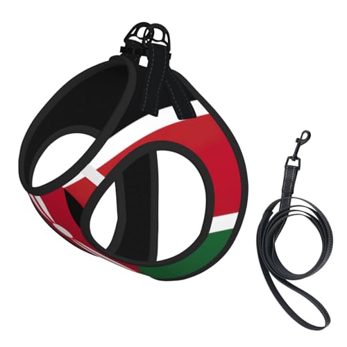 Hundegeschirr und Leine, weiches Netzgewebe, bequem, gepolstert, kein Ziehen, Motiv: Flagge von Kenia Hundegeschirr und Leine, weiches Netzgewebe, bequem, gepolstert, kein Ziehen, Motiv: Flagge von Kenia von YQxwJL