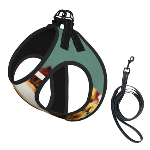 Hundegeschirr und Leine, weiches Netzgewebe, mit Blumenmuster, für Welpen, Katzen, bequem, gepolstert, kein Ziehen Hundegeschirr und Leine, weiches Netzgewebe, mit Blumenmuster, für Welpen, Katzen, bequem, gepolstert, kein Ziehen von YQxwJL