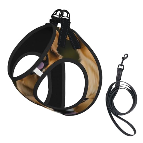 Hundegeschirr und Leine, weiches Netzgewebe, mit Golden Retriever-Aufdruck, bequem, gepolstert, kein Ziehen Hundegeschirr und Leine, weiches Netzgewebe, mit Golden Retriever-Aufdruck, bequem, gepolstert, kein Ziehen von YQxwJL