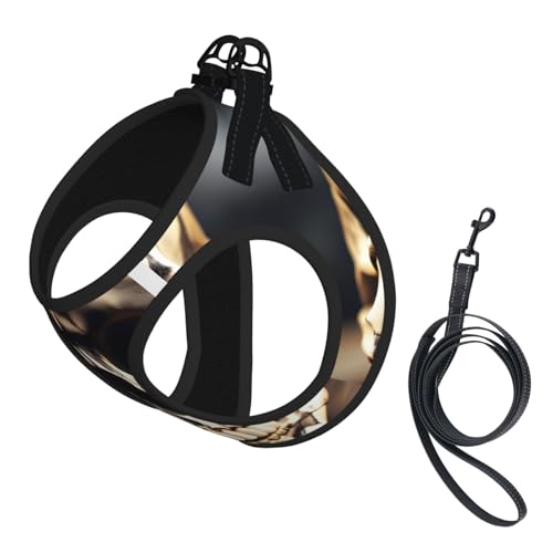 Hundegeschirr und Leine, weiches Netzgewebe, mit Totenkopf-Design, für Welpen, Katzen, bequem, gepolstert, kein Ziehen Hundegeschirr und Leine, weiches Netzgewebe, mit Totenkopf-Design, für Welpen, Katzen, bequem, gepolstert, kein Ziehen von YQxwJL