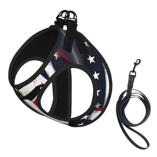 Hundegeschirr und Leine, weiches Netzgewebe, mit USA-Flagge, amerikanischer Spartaner-Druck, bequem, gepolstert, kein Ziehen Hundegeschirr und Leine, weiches Netzgewebe, mit USA-Flagge, amerikanischer Spartaner-Druck, bequem, gepolstert, kein Ziehen von YQxwJL