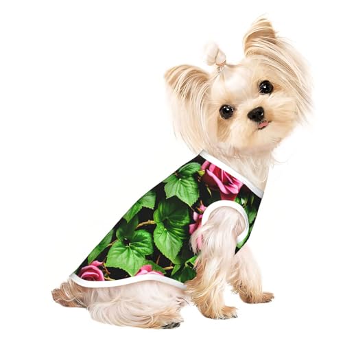 Leichtes Sommer-Shirt, Motiv: Rosen-Efeu mit Blättern, Frühlingsdruck, kühl, atmungsaktiv, ärmellos, dehnbare Kleidung Leichtes Sommer-Shirt, Motiv: Rosen-Efeu mit Blättern, Frühlingsdruck, kühl, atmungsaktiv, ärmellos, dehnbare Kleidung von YQxwJL