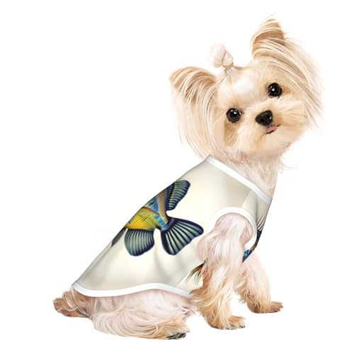 Leichtes Sommer-Shirt, kühles, atmungsaktives Hunde-T-Shirt, ärmellos, dehnbare Kleidung Leichtes Sommer-Shirt, kühles, atmungsaktives Hunde-T-Shirt, ärmellos, dehnbare Kleidung von YQxwJL