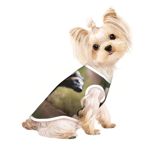 Leichtes Sommer-Shirt, niedlicher Dachs-Druck, kühl, atmungsaktiv, ärmellos, dehnbare Kleidung Leichtes Sommer-Shirt, niedlicher Dachs-Druck, kühl, atmungsaktiv, ärmellos, dehnbare Kleidung von YQxwJL