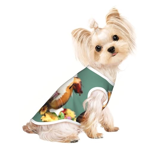Leichtes Sommer-Shirt mit Meerschweinchen-Aufdruck, kühl, atmungsaktiv, ärmellos, dehnbare Kleidung von YQxwJL