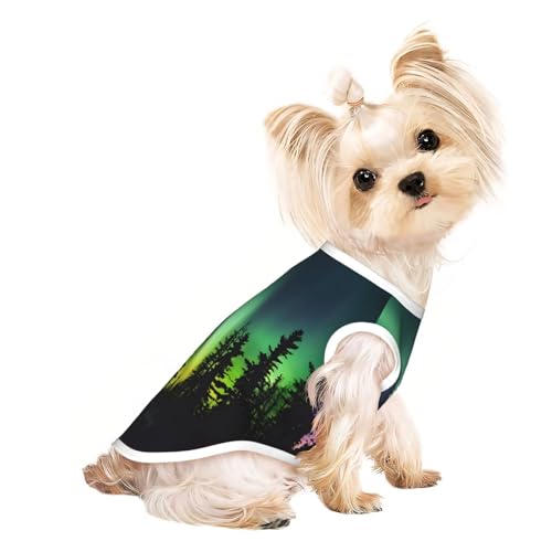 Leichtes Sommer-Shirt mit dunklem Nordlichter-Aufdruck, kühl, atmungsaktiv, ärmellos, dehnbare Kleidung Leichtes Sommer-Shirt mit dunklem Nordlichter-Aufdruck, kühl, atmungsaktiv, ärmellos, dehnbare Kleidung von YQxwJL