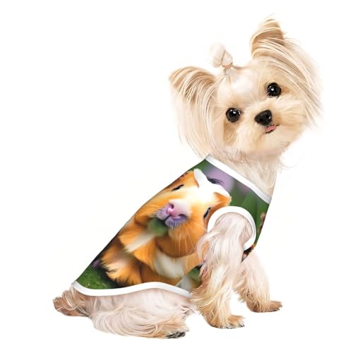 Leichtes Sommer-Shirt mit süßem Meerschweinchen-Aufdruck, atmungsaktiv, ärmellos, dehnbare Kleidung von YQxwJL