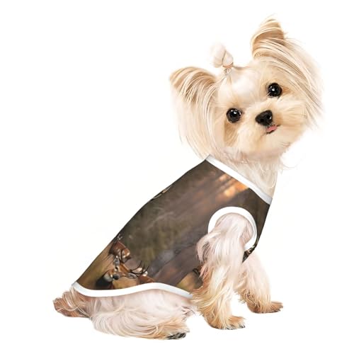 Leichtes Sommer-T-Shirt mit Hirschjagd-Druck, kühl, atmungsaktiv, ärmellos, dehnbare Kleidung Leichtes Sommer-T-Shirt mit Hirschjagd-Druck, kühl, atmungsaktiv, ärmellos, dehnbare Kleidung von YQxwJL