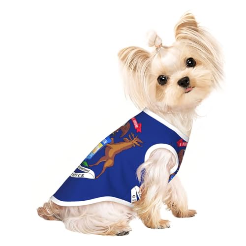 Leichtes Sommer-T-Shirt mit Michigan-Staatsflagge, atmungsaktiv, ärmellos, dehnbare Kleidung Leichtes Sommer-T-Shirt mit Michigan-Staatsflagge, atmungsaktiv, ärmellos, dehnbare Kleidung von YQxwJL