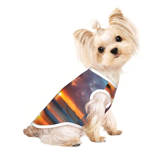 Leichtes Sommer-T-Shirt mit Sonnenuntergang-Strand-Aufdruck, kühl, atmungsaktiv, ärmellos, dehnbare Kleidung Leichtes Sommer-T-Shirt mit Sonnenuntergang-Strand-Aufdruck, kühl, atmungsaktiv, ärmellos, dehnbare Kleidung von YQxwJL