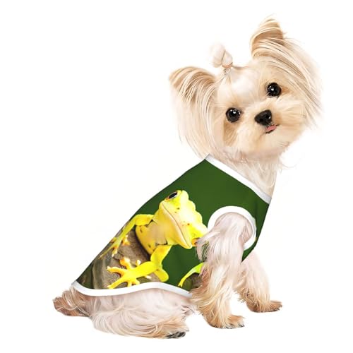 Leichtes Sommer-T-Shirt mit zwei Geckos-Aufdruck, kühl, atmungsaktiv, ärmellos, dehnbare Kleidung Leichtes Sommer-T-Shirt mit zwei Geckos-Aufdruck, kühl, atmungsaktiv, ärmellos, dehnbare Kleidung von YQxwJL