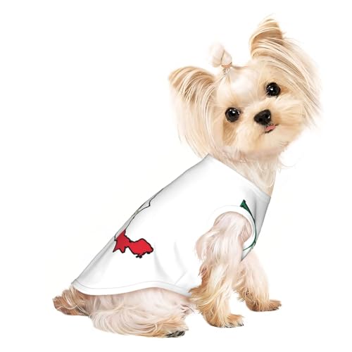 Leichtes T-Shirt mit Mexiko-Flagge, für den Sommer, kühl, atmungsaktiv, ärmellos, dehnbare Kleidung Leichtes T-Shirt mit Mexiko-Flagge, für den Sommer, kühl, atmungsaktiv, ärmellos, dehnbare Kleidung von YQxwJL