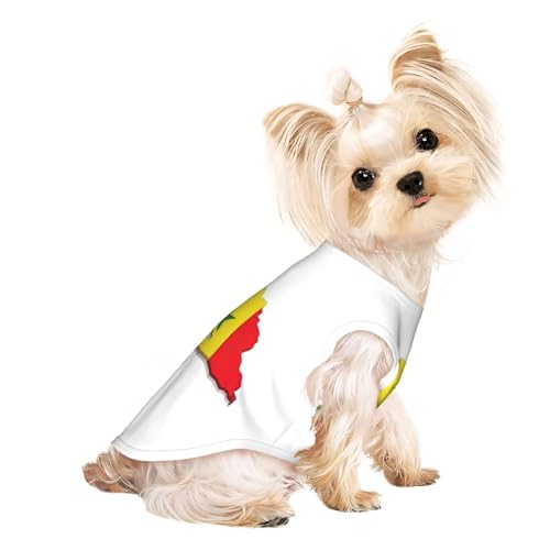 Leichtes T-Shirt mit Senegal-Flagge, für den Sommer, kühl, atmungsaktiv, ärmellos, dehnbare Kleidung Leichtes T-Shirt mit Senegal-Flagge, für den Sommer, kühl, atmungsaktiv, ärmellos, dehnbare Kleidung von YQxwJL