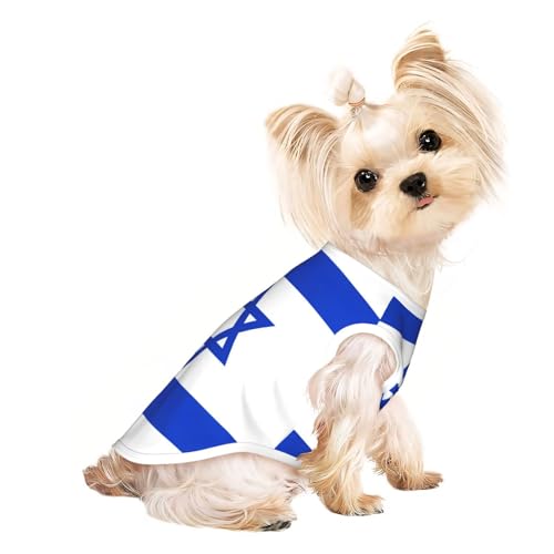 Leichtes T-Shirt mit israelischer Flagge, Sommer, kühl, atmungsaktiv, ärmellos, dehnbare Kleidung Leichtes T-Shirt mit israelischer Flagge, Sommer, kühl, atmungsaktiv, ärmellos, dehnbare Kleidung von YQxwJL