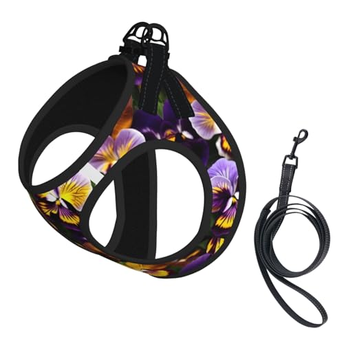 Pansy Perfection Hundegeschirr und Leine, weiches Netzgewebe, bequem, gepolstert, kein Ziehen Pansy Perfection Hundegeschirr und Leine, weiches Netzgewebe, bequem, gepolstert, kein Ziehen von YQxwJL
