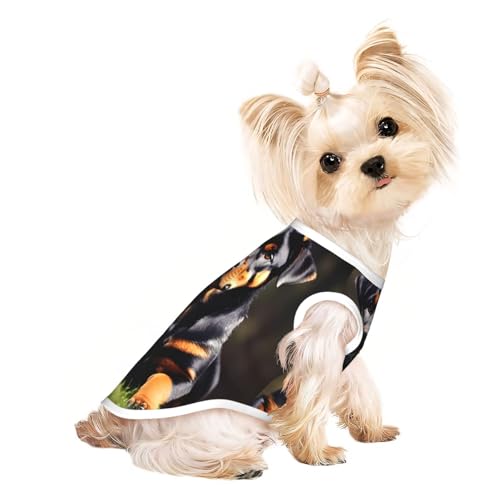 Rottweiler Hunde-T-Shirt, leicht, für den Sommer, kühl, atmungsaktiv, ärmellos, dehnbare Kleidung Rottweiler Hunde-T-Shirt, leicht, für den Sommer, kühl, atmungsaktiv, ärmellos, dehnbare Kleidung von YQxwJL