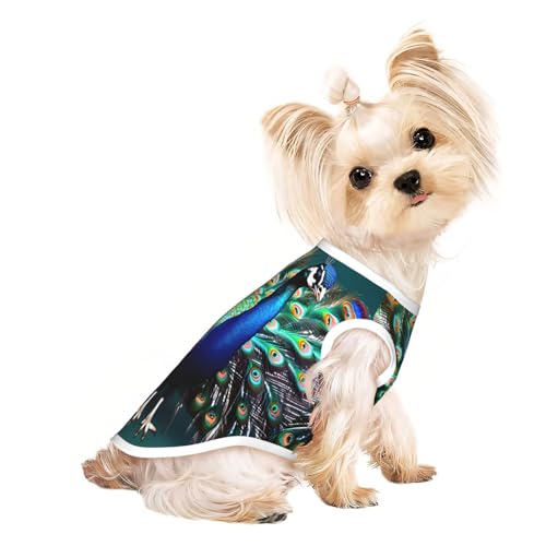 Schönes leichtes Hundehemd mit Pfauenmuster, Sommer, kühl, atmungsaktiv, ärmellos, dehnbare Kleidung von YQxwJL