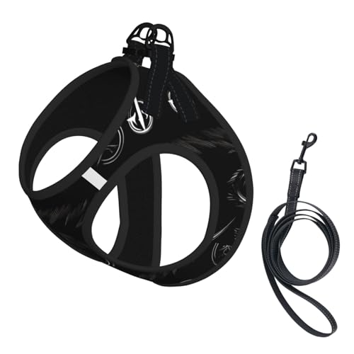 Supernatural Symbole Hundegeschirr und Leine, weiches Netzgewebe, bequem, gepolstert, kein Ziehen, Schwarz Supernatural Symbole Hundegeschirr und Leine, weiches Netzgewebe, bequem, gepolstert, kein Ziehen, Schwarz von YQxwJL