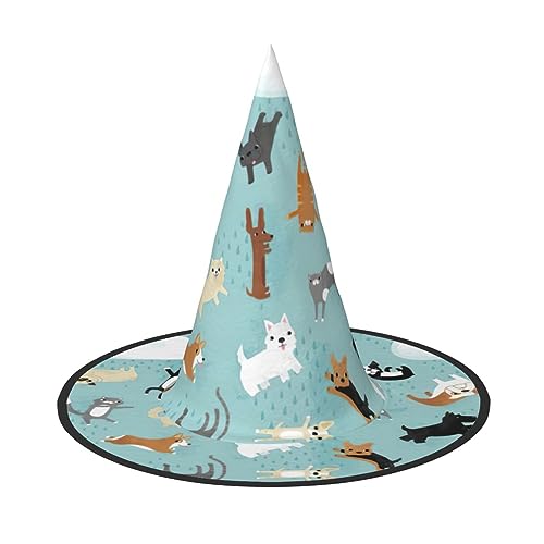 YQxwJL Hexenhut mit regnenden Katzen und Hunden, zum Aufhängen, schwimmende Hexenhüte, für Halloween, Weihnachten, Party-Dekoration von YQxwJL
