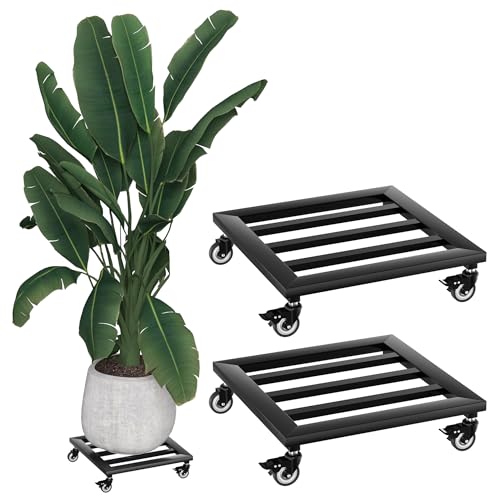 YRHome 2 Stück Pflanzenroller Metall Blumenroller Schwarz für Außenbereich & Innenbereich Blumentopf Untersetzer mit Rollen Pflanzen Caddy mit Rädern Pflanze Roller Basis - Quadrat 30cm - Bis 160KG YRHome 2 Stück Pflanzenroller Metall Blumenroller Schwarz für Außenbereich & Innenbereich Blumentopf Untersetzer mit Rollen Pflanzen Caddy mit Rädern Pflanze Roller Basis - Quadrat 30cm - Bis 160KG von YRHome