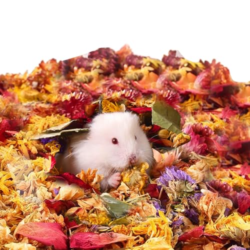 YRTUOP Bunny Einstreu - 100g Getrocknete Meerschweinchen Streu - Matte Feuchtigkeitsabsorption Langanhaltende Düfte Beruhigende Lebensraumdekoration Für Kleine Frettchen Hühner Käfig Katze von YRTUOP