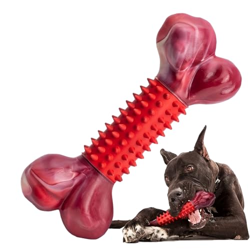 YRTUOP Hundespielzeug Aus Hartplastik Knochenform | Kauspielzeug Für Welpen Beißringe,Hartes Kauspielzeug Für Welpen Drinnen Und Draußen Wohnzimmer Schlafzimmer Garten Park Studentenwohnheim von YRTUOP