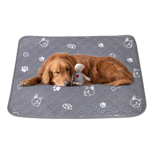 YRTUOP Hundetrainingsmatten - Hundetrainingsmatten Kaninchen Unterlagen - Waschbare Saugfähige Einlagen Boden Schutz Für Kleintiere Käfig Indoor Gehege Katzentoilette Hamster Katze von YRTUOP