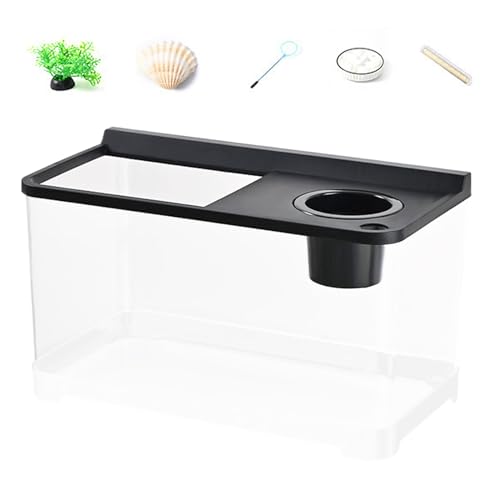 YRTUOP Kleines Aquarium Mit 3 Farben Beleuchtung | Dekoratives Fischbecken - Hydroponisches Tischaquarium Für Tischlandschaft Home Arbeitsplatz Eingangsbereich Schlafzimmer von YRTUOP