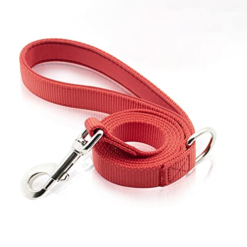 Hundeleine Hundeleine Laufleinen Zugseil mit D-Ring für kleine mittelgroße Hunde-Rot,2,5*120 cm von YSDSS