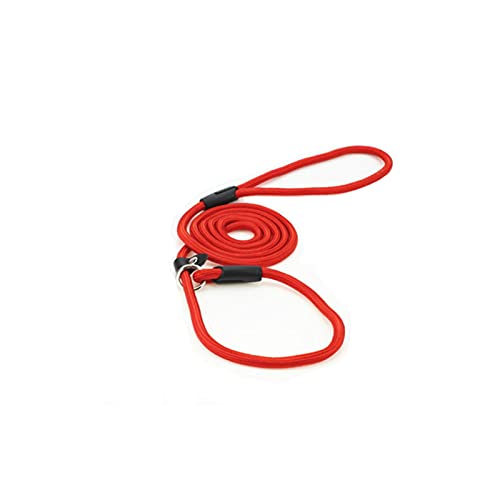 Hundetrainingsleine Slip Pet Dog Nylon Führriemen Verstellbares Zugseil-Rot,0.6cm 140cm von YSDSS