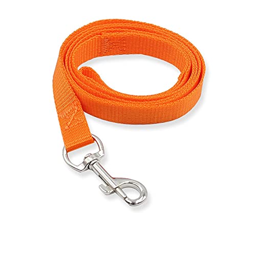 Nylon Hundeleine für kleine mittelgroße Hunde Outdoor Laufen Walking Training Hundehalsband Harness Leine-Orange von YSDSS