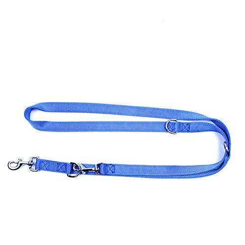 Nylon-Hundeleine mit doppelter Schnalle für Zwei Hunde Haustier-Traktionsseil One Drag Two Dog Walking Training Pet Lead-Blau,200cmX2.5cm von YSDSS
