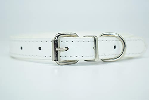 PU-Leder-Hundehalsband für kleine mittelgroße Hunde Sicheres weiches festes Hundehalsband für Katzen Haustierzubehör-Weiß,M von YSDSS