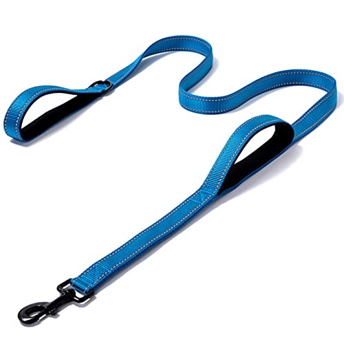 Reflektierendes Nylon-Hundeleinenseil für kleine mittelgroße Hunde Langlebige Trainingsleine Blei-Blau,2.5x180cm von YSDSS