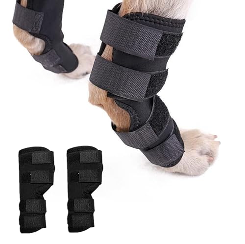 YSISLY Kniebandage Für Hunde, Hunde Sprunggelenk Schutz Bandage Bein Hunde Gelenkbandage Für Schützt Wunden Und Hilft Bei Gelenkentzündung Hunde-Bandage von YSISLY