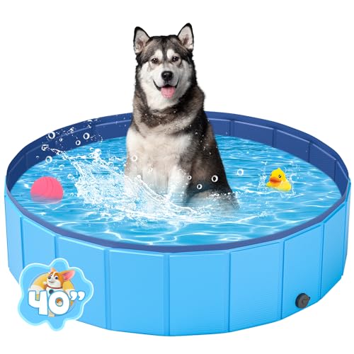 YSJILIDE Hundepool, 100 x 30CM Hundepools für Kleine, Mittlere & Große, PVC Faltbare planschbecken für Kinder für Abriebfest&rutschfest YSJILIDE Hundepool, 100 x 30CM Hundepools für Kleine, Mittlere & Große, PVC Faltbare planschbecken für Kinder für Abriebfest&rutschfest von YSJILIDE