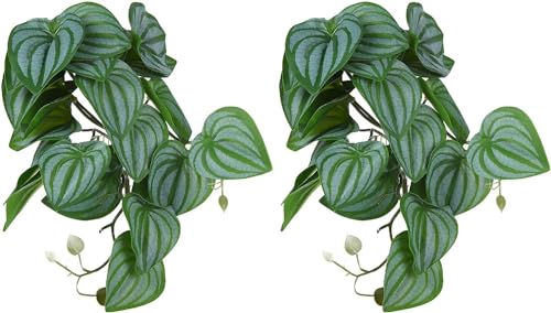 YSOLDA Künstliche Kunststoffpflanze/hängende Seiden-Terrarienpflanze mit Saugnäpfen/Aquarium-Dekoration, Kunststoffpflanzen für Reptilien, Haustiernester, Aquarien, 2 Stück (03) von YSOLDA